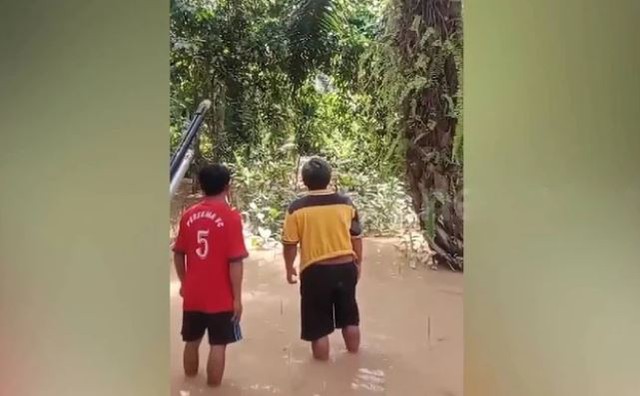 Đang câu cá cùng bố vợ, người đàn ông 32 tuổi bị cá sấu tấn công tử vong- Ảnh 3. Đang câu cá cùng bố vợ, người đàn ông 32 tuổi bị cá sấu tấn công tử vong- Ảnh 3.