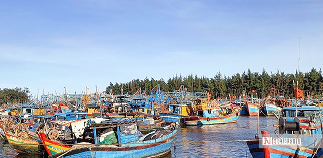 Gỡ “nút thắt” quy hoạch và hạ tầng để thủy sản Bà Rịa - Vũng Tàu bứt tốc- Ảnh 3. Gỡ “nút thắt” quy hoạch và hạ tầng để thủy sản Bà Rịa - Vũng Tàu bứt tốc- Ảnh 3.