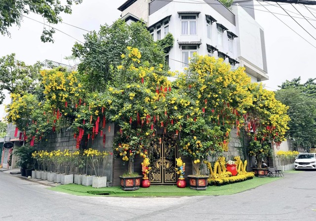 Lý do bất ngờ khiến Đàm Vĩnh Hưng rao bán biệt thự triệu đô- Ảnh 1. Lý do bất ngờ khiến Đàm Vĩnh Hưng rao bán biệt thự triệu đô- Ảnh 1.