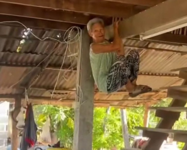 Rắn bò vào sân, cụ bà sợ hãi đu mình lên xà nhà- Ảnh 1. Rắn bò vào sân, cụ bà sợ hãi đu mình lên xà nhà- Ảnh 1.