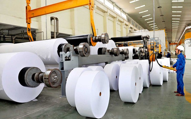 Ngành giấy giằng co, kỳ vọng bứt tốc từ quý II/2025- Ảnh 1. Ngành giấy giằng co, kỳ vọng bứt tốc từ quý II/2025- Ảnh 1.