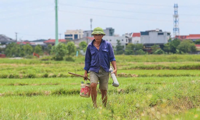 Gồng mình mưu sinh giữa "chảo lửa" miền Trung- Ảnh 9.