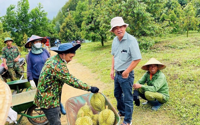 HAGL muốn phát hành cổ phiếu để xử lý nợ trái phiếu- Ảnh 1. HAGL muốn phát hành cổ phiếu để xử lý nợ trái phiếu- Ảnh 1.