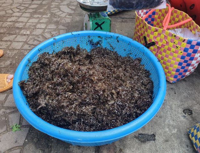 Thứ đặc sản xưa là "món ăn nhà nghèo" nay được dân phố lùng mua- Ảnh 4. Thứ đặc sản xưa là "món ăn nhà nghèo" nay được dân phố lùng mua- Ảnh 4.