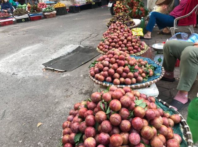 "2 không" khi ăn mận, biết mà tránh kẻo rước hoạ- Ảnh 1. "2 không" khi ăn mận, biết mà tránh kẻo rước hoạ- Ảnh 1.