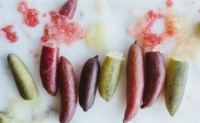 Loại quả bé như ngón tay "đắt nhất thế giới", giá lên tới 3 triệu đồng/kg- Ảnh 3. Loại quả bé như ngón tay "đắt nhất thế giới", giá lên tới 3 triệu đồng/kg- Ảnh 3.