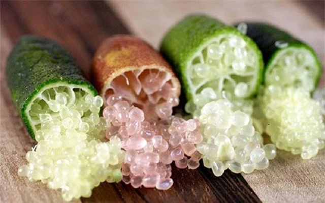 Loại quả bé như ngón tay "đắt nhất thế giới", giá lên tới 3 triệu đồng/kg- Ảnh 2. Loại quả bé như ngón tay "đắt nhất thế giới", giá lên tới 3 triệu đồng/kg- Ảnh 2.