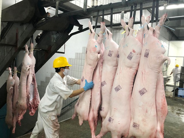 Yêu cầu chấn chỉnh công tác giết mổ lợn sau loạt vụ việc nghiêm trọng- Ảnh 1. Yêu cầu chấn chỉnh công tác giết mổ lợn sau loạt vụ việc nghiêm trọng- Ảnh 1.