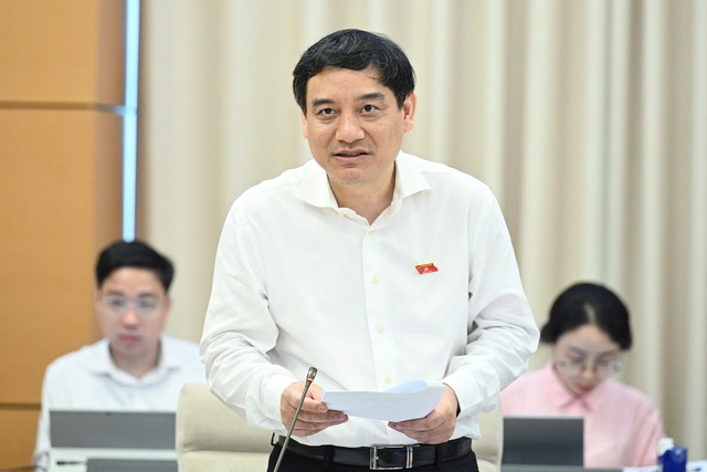 Có ĐBQH chuyên trách 3-4 chức danh nhưng không biết bổ nhiệm bao giờ- Ảnh 2. Có ĐBQH chuyên trách 3-4 chức danh nhưng không biết bổ nhiệm bao giờ- Ảnh 2.
