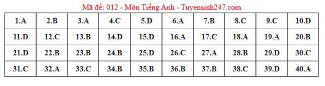 Gợi ý đáp án môn Tiếng Anh thi vào lớp 10 tại Hà Nội năm 2025 tất cả 24 mã đề- Ảnh 9.
