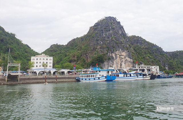 Du lịch Cát Bà hiện thực hóa mục tiêu đón 4 triệu lượt du khách- Ảnh 2. Du lịch Cát Bà hiện thực hóa mục tiêu đón 4 triệu lượt du khách- Ảnh 2.