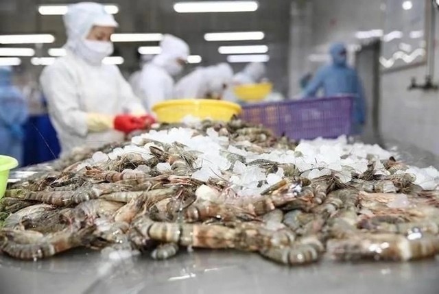 Mỹ áp thuế chống bán phá giá với tôm Việt lên tới 35,29%- Ảnh 1. Mỹ áp thuế chống bán phá giá với tôm Việt lên tới 35,29%- Ảnh 1.