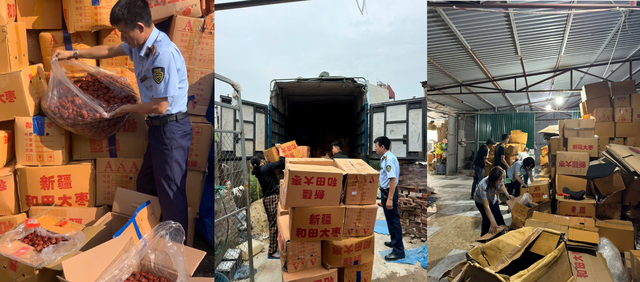 Tạm giữ hơn 4 tấn táo đỏ khô nhập lậu tại Hà Nội- Ảnh 2. Tạm giữ hơn 4 tấn táo đỏ khô nhập lậu tại Hà Nội- Ảnh 2.
