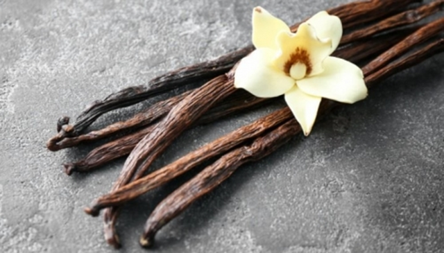 Loại quả đắt đỏ bậc nhất thế giới, từng có giá 15 triệu đồng/kg, ở Việt Nam có người trồng thành công- Ảnh 3. Loại quả đắt đỏ bậc nhất thế giới, từng có giá 15 triệu đồng/kg, ở Việt Nam có người trồng thành công- Ảnh 3.
