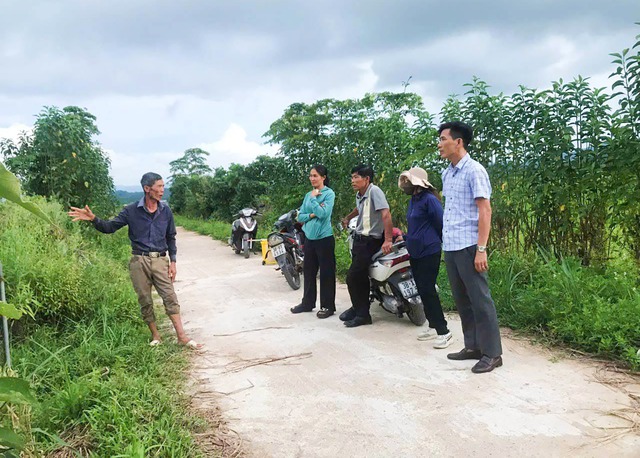 Châu chấu tre tràn xuống ruộng vườn, Hà Tĩnh ban hành công điện “khẩn”- Ảnh 1. Châu chấu tre tràn xuống ruộng vườn, Hà Tĩnh ban hành công điện “khẩn”- Ảnh 1.
