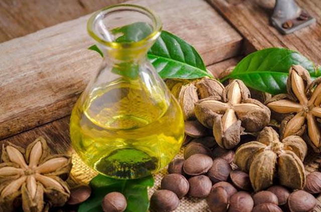 Loại hạt đắt đỏ bậc nhất thế giới, không ngờ có đầy ở Việt Nam - Ảnh 3.