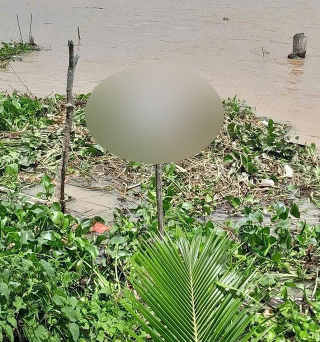 Truy tìm tung tích nạn nhân trôi sông, thi thể đang phân hủy- Ảnh 1. Truy tìm tung tích nạn nhân trôi sông, thi thể đang phân hủy- Ảnh 1.