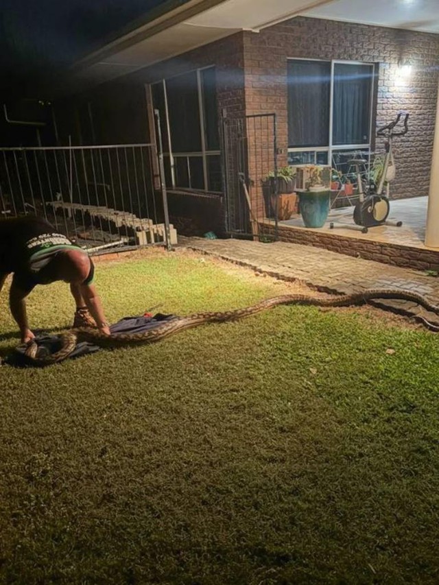 Nghe tiếng động lạ, đi kiểm tra, người đàn ông chứng kiến cảnh tượng nổi da gà- Ảnh 2. Nghe tiếng động lạ, đi kiểm tra, người đàn ông chứng kiến cảnh tượng nổi da gà- Ảnh 2.