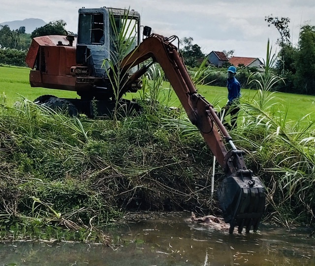 Gia Lai: Thu gom lượng lớn xác heo chết trôi nổi trên các kênh mương thủy lợi- Ảnh 3. Gia Lai: Thu gom lượng lớn xác heo chết trôi nổi trên các kênh mương thủy lợi- Ảnh 3.