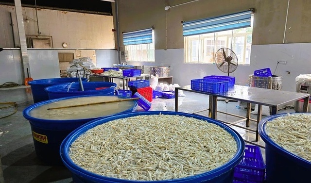 Phát hiện hàng tấn chân gà ngâm hóa chất trong kho đông lạnh chuẩn bị đưa ra thị trường- Ảnh 1. Phát hiện hàng tấn chân gà ngâm hóa chất trong kho đông lạnh chuẩn bị đưa ra thị trường- Ảnh 1.