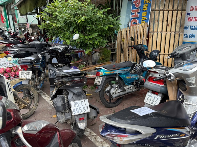 Nhiều mức giá cho cùng tuyến Phan Thiết – Đà Lạt, ngành chức năng nói gì? - Ảnh 4.