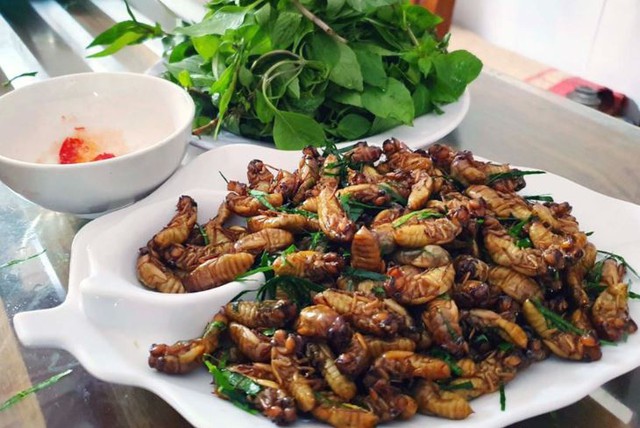 Thứ "đáng sợ" xưa hiếm người ăn nay thành đặc sản đắt đỏ dân phố thích mê, 600.000 đồng/kg - Ảnh 3.