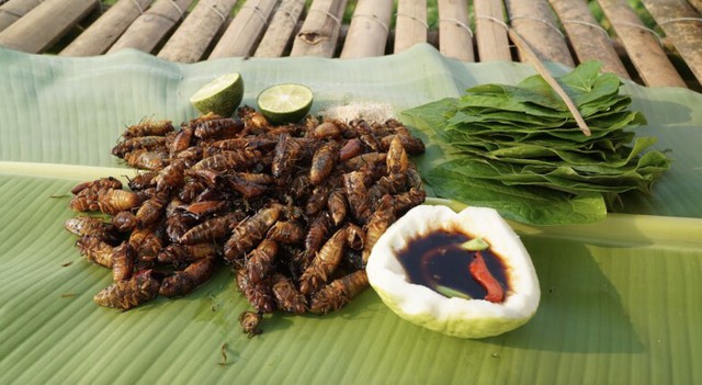 Thứ "đáng sợ" xưa hiếm người ăn nay thành đặc sản đắt đỏ dân phố thích mê, 600.000 đồng/kg - Ảnh 2.