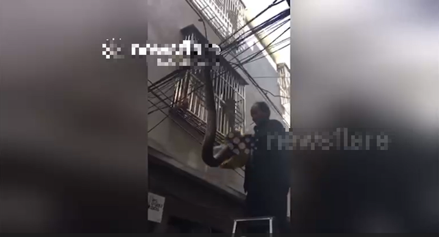 Đang đi dạo, người dân phát hiện cảnh tượng nổi da gà trên dây điện - Ảnh 1.