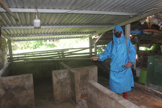 Giám đốc Trung tâm Kiểm soát bệnh tật (CDC) Đà Nẵng: Không hoang mang nhưng cảnh giác trước dịch tả lợn- Ảnh 2. Giám đốc Trung tâm Kiểm soát bệnh tật (CDC) Đà Nẵng: Không hoang mang nhưng cảnh giác trước dịch tả lợn- Ảnh 2.