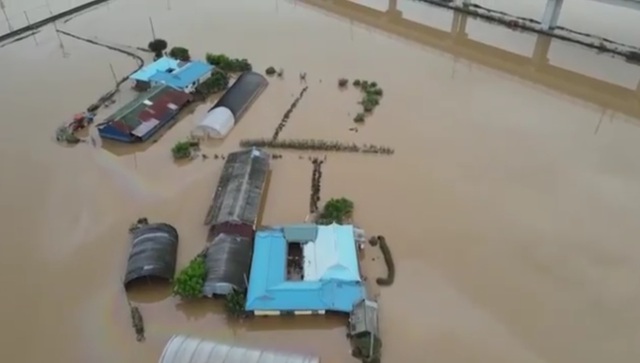 Nông dân Hàn Quốc lo sợ lũ lụt tàn phá- Ảnh 1. Nông dân Hàn Quốc lo sợ lũ lụt tàn phá- Ảnh 1.