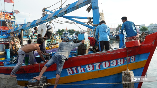 Cảng cá ở Lâm Đồng nhộn nhịp mùa biển mới- Ảnh 8.