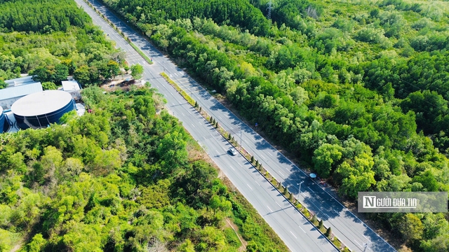 “Lá phổi xanh” Cần Giờ, Côn Đảo - nơi khởi đầu cho chiến lược giao thông bền vững Tp.HCM- Ảnh 10.