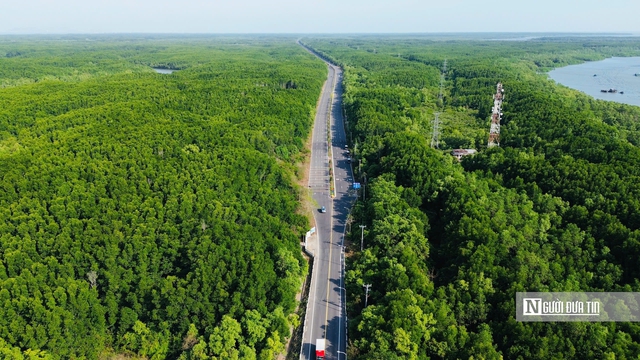 “Lá phổi xanh” Cần Giờ, Côn Đảo - nơi khởi đầu cho chiến lược giao thông bền vững Tp.HCM- Ảnh 11.