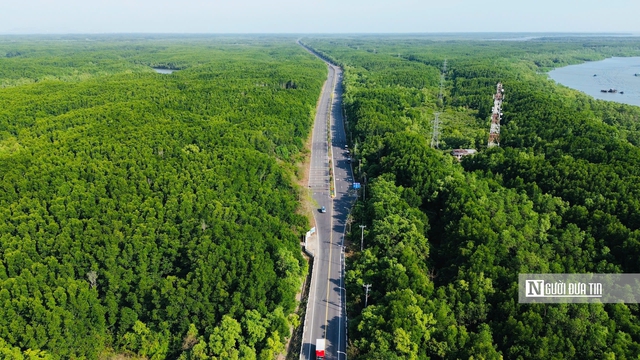 “Lá phổi xanh” Cần Giờ, Côn Đảo - nơi khởi đầu cho chiến lược giao thông bền vững Tp.HCM- Ảnh 23.