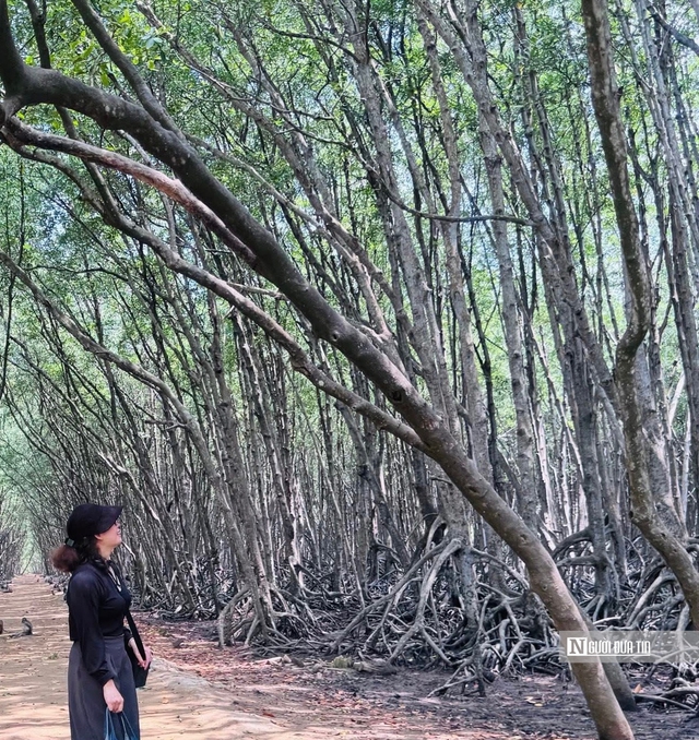 “Lá phổi xanh” Cần Giờ, Côn Đảo - nơi khởi đầu cho chiến lược giao thông bền vững Tp.HCM- Ảnh 18.