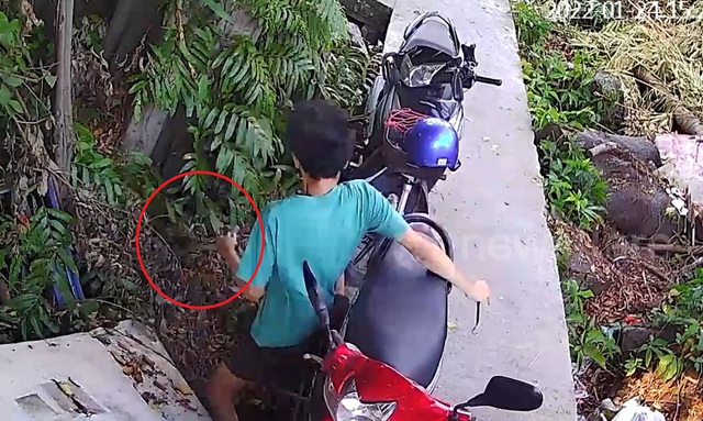 Trăn lao ra khỏi bụi rậm, tấn công nam thanh niên đang sửa xe máy- Ảnh 1.