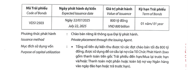 Chứng khoán Rồng Việt muốn phát hành 800 tỷ đồng trái phiếu để cơ cấu lại nợ- Ảnh 1.