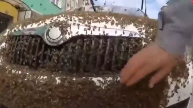 Đang đi đường, nhóm người bắt gặp sự việc đáng sợ- Ảnh 2.
