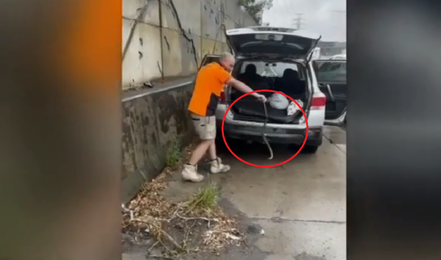Đang lái xe, người phụ nữ nổi da gà khi phát hiện thứ đáng sợ trong xe - Ảnh 1.