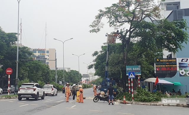 Gần 6.000 du khách rời đảo Cát Bà để tránh bão- Ảnh 2.