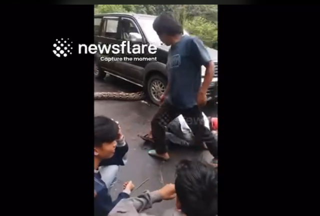 Đang lái xe, tài xế nổi da gà khi phát hiện thứ đáng sợ trước mắt - Ảnh 2.