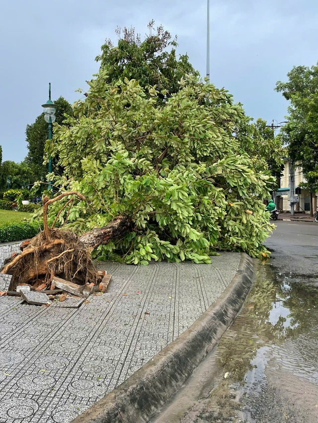 Thiệt hại do mưa, lốc xoáy tại 19 địa phương ở tỉnh Lâm Đồng, ước tính 3 tỷ đồng- Ảnh 4. Thiệt hại do mưa, lốc xoáy tại 19 địa phương ở tỉnh Lâm Đồng, ước tính 3 tỷ đồng- Ảnh 4.