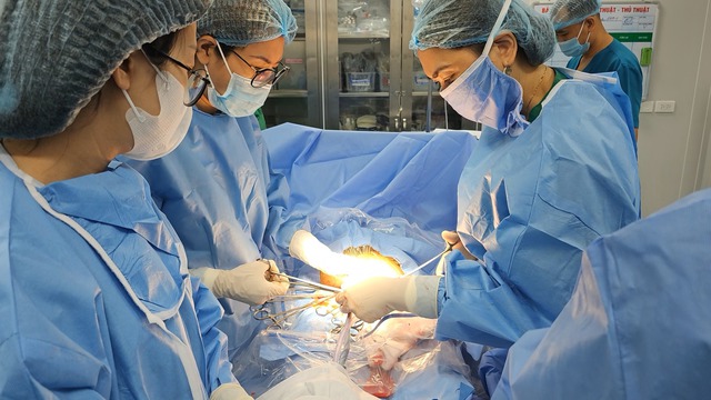 Trèo cây cắt tỉa cành tránh bão, cụ ông 71 tuổi bị ngã trọng thương - Ảnh 1.