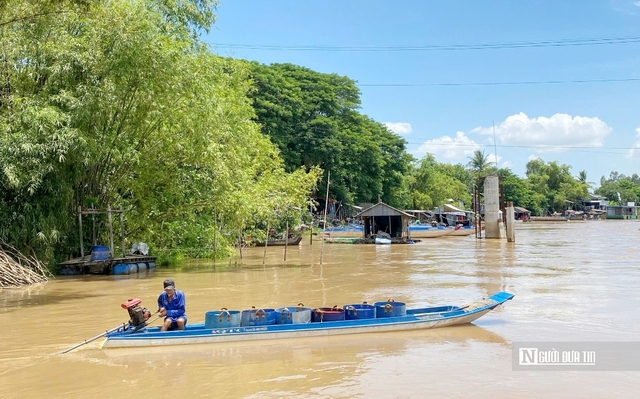 Chờ mùa nước nổi, nét độc đáo của vùng sông nước miền Tây Nam Bộ- Ảnh 1.