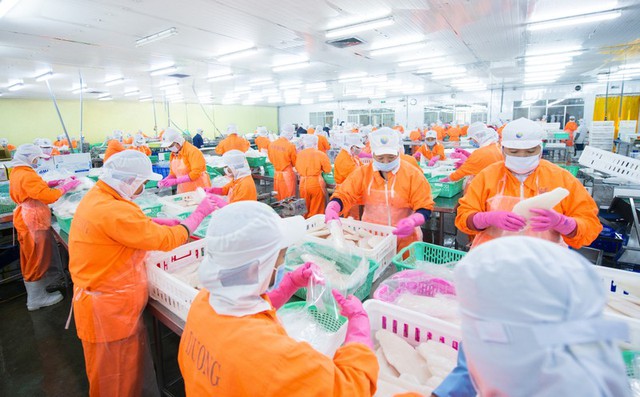 Thủy sản Nam Việt bứt tốc, vượt kế hoạch lợi nhuận sau 6 tháng- Ảnh 1. Thủy sản Nam Việt bứt tốc, vượt kế hoạch lợi nhuận sau 6 tháng- Ảnh 1.