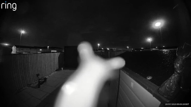 Camera phát hiện chuyển động lúc nửa đêm, người phụ nữ nhìn thấy điều bất ngờ - Ảnh 1.