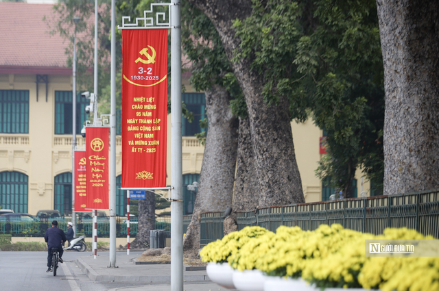 Hà Nội chặt hạ, di chuyển 27 cây xanh để thi công đường Hùng Vương, Độc Lập kéo dài - Ảnh 1.