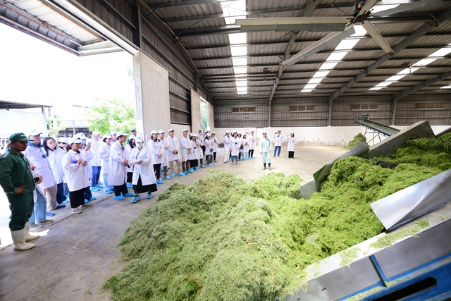 “Mở khóa tự nhiên”: Vinamilk biến rào cản thành vòng tuần hoàn xanh tại trang trại sinh thái - Ảnh 6.
