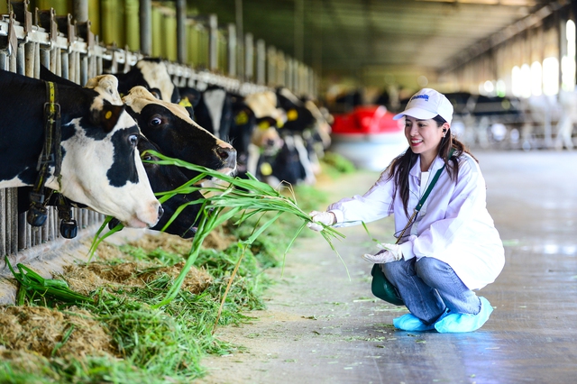 “Mở khóa tự nhiên”: Vinamilk biến rào cản thành vòng tuần hoàn xanh tại trang trại sinh thái - Ảnh 10.