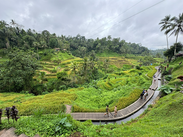 Bay thẳng từ Việt Nam đến Bali: Mở lối khám phá thiên đường du lịch Indonesia - Ảnh 1.